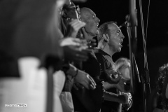 DSC8783